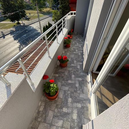 Apartman Ambijent Arandjelovac Exterior photo
